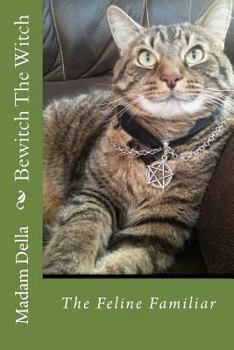 Paperback Bewitch The Witch: The Feline Familiar Book