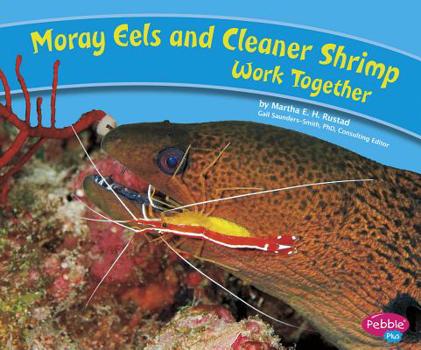 Hardcover Moray Eels and Cleaner Shrimp Work Together Book