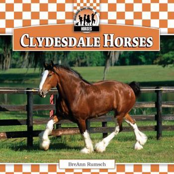 Clydesdale Horses - Book  of the Horses