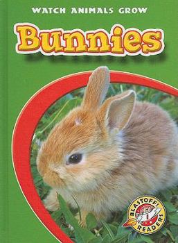 Library Binding Bunnies Book