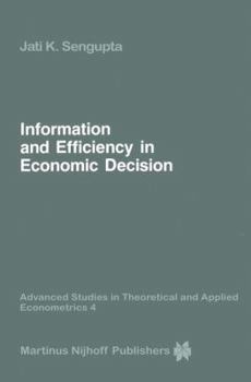 Hardcover Information and Efficiency in Economic Decision Book