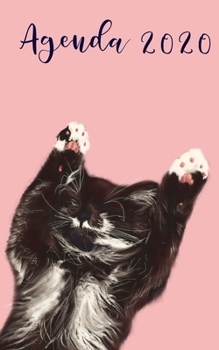 Agenda 2020 : Agenda 2020 Semainier, Agenda Chat, Agenda Chaton, Calendrier 2020 Semainier