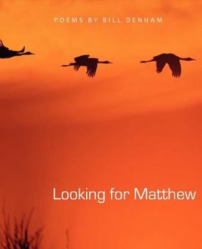 Paperback Looking for Matthew Book