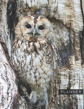 Paperback Planner: Owl 2 Year Monthly Planner with Note Pages (24 Months) - Jan 2020 - Dec 2021 - Month Planning - Appointment Calendar S Book