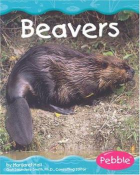 Hardcover Beavers Book