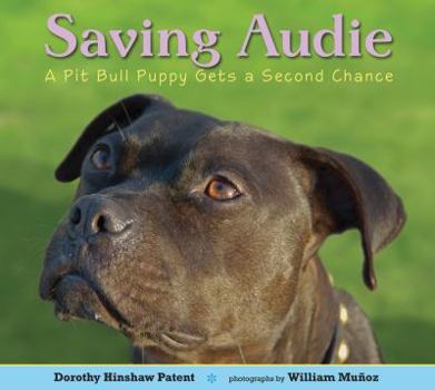 Paperback Saving Audie: A Pit Bull Puppy Gets a Second Chance Book