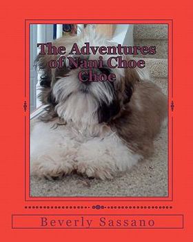 Paperback The Adventures of Nani Choe Choe Book