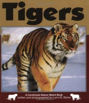 Library Binding Tigers Book