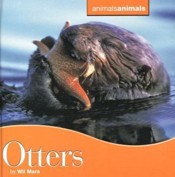 Library Binding Otters Book