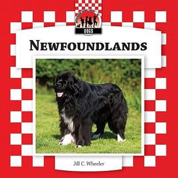 Newfoundlands - Book  of the Dogs