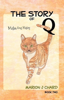 Paperback The Story of Q - Misha Goes Missing Book