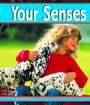 Paperback Your Senses Book