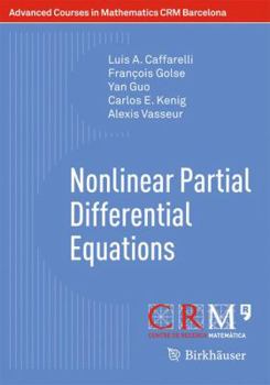 Paperback Nonlinear Partial Differential Equations Book