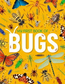 Hardcover My First Book of Bugs: An Awesome First Look at Insects and Spiders Book