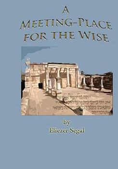 Paperback A Meeting-Place For The Wise: More Excursions Into The Jewish Past And Present Book