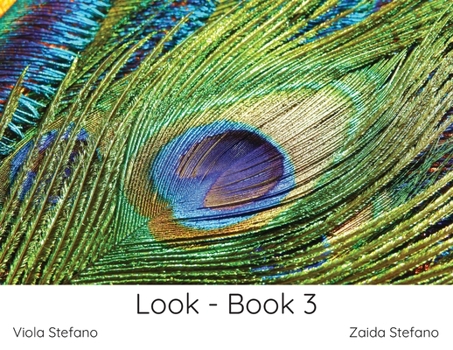 Paperback Look - Book 3 Book