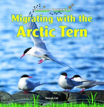 Library Binding Migrating with the Arctic Tern Book