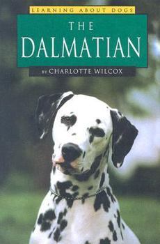 The Dalmatian (Wilcox, Charlotte. Learning About Dogs.) - Book  of the Learning About Dogs
