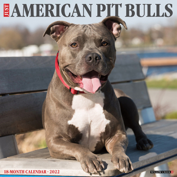 Calendar Just American Pit Bull Terriers 2022 Wall Calendar (Dog Breed) Book