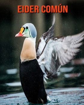 Eider común: Libro para niños con imágenes hermosas y datos interesantes sobre los Eider común (Spanish Edition)