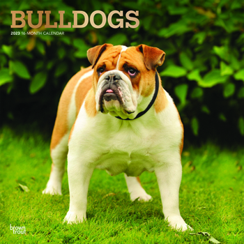 Calendar Bulldogs 2023 Square Foil Book