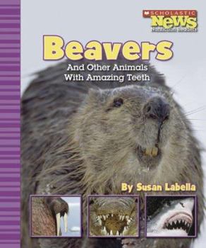 Library Binding Beavers and Other Animals with Amazing Teeth Book