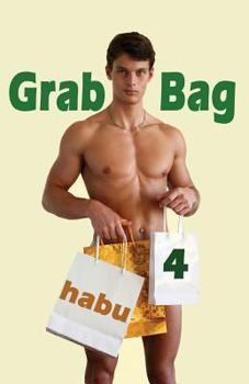 Paperback Grab Bag 4: A Gay Erotica Anthology Book