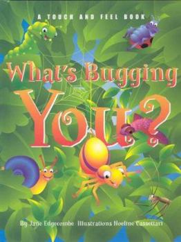 Board book What's Bugging You? Book