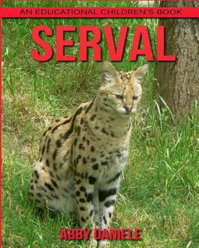 Paperback Serval! An Educational Children's Book about Serval with Fun Facts & Photos Book