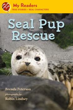 Hardcover Seal Pup Rescue (My Readers) Book