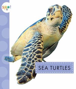 Paperback Sea Turtles Book