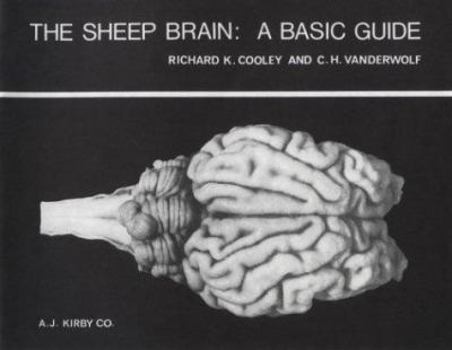 Hardcover The Sheep Brain Book