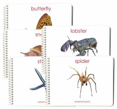 Spiral-bound Invertebrates External Anatomy Book Set (5 Book Set including Butterfly, Lobster, Snail, Spider, and Starfish) Book