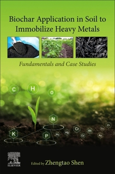 Paperback Biochar Application in Soil to Immobilize Heavy Metals: Fundamentals and Case Studies Book