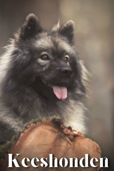 Keeshonden: Dog breed overview and guide