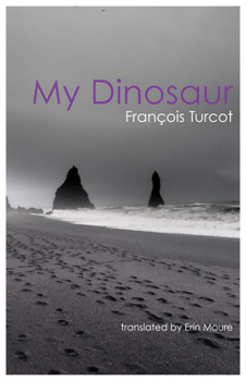 Paperback My Dinosaur Book