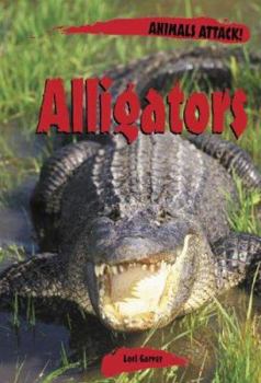 Hardcover Animals Attack: Alligators Book