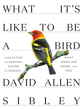 Hardcover What It's Like to Be a Bird: From Flying to Nesting, Eating to Singing--What Birds Are Doing, and Why Book