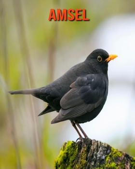 Paperback Amsel: Erstaunliche Fakten & Bilder [German] Book