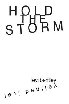 Paperback Hold the Storm Book