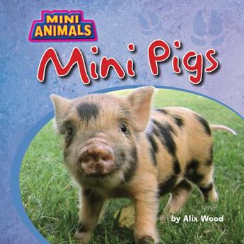 Mini Pigs - Book  of the Mini Animals