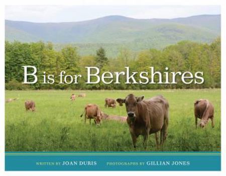 Hardcover B Is for Berkshires Book