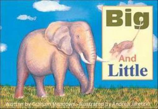 Paperback Big and little (Foundations) Book