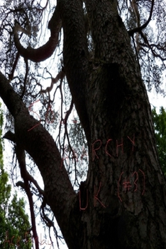 Paperback Soul Anarchy Uk #3 Book