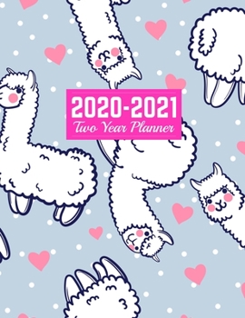 2020-2021 Two Year Planner: Nifty Jan 1, 2020 to Dec 31, 2021 | Weekly & Monthly Planner Calendar and Schedule Organizer | Art Cover 00023190