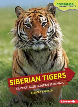 Siberian Tigers: Camouflaged Hunting Mammals - Book  of the Comparing Animal Traits
