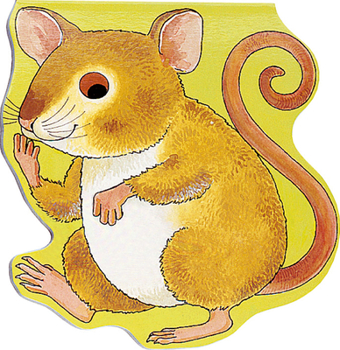 Board book Pocket Mouse Book