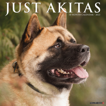 Calendar Just Akitas 2023 Wall Calendar Book