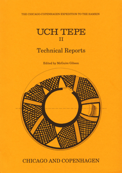 Paperback Uch Tepe II: Technical Reports Book