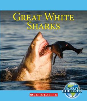 Paperback Great White Sharks Book